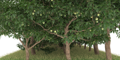 Realistic forest isolated on transparent background. 3d rendering - illustration png