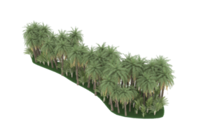 Palm trees isolated on transparent background. 3d rendering - illustration png