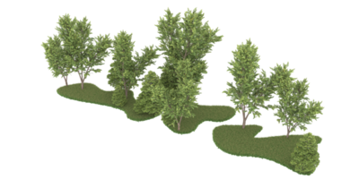 Realistic forest isolated on transparent background. 3d rendering - illustration png