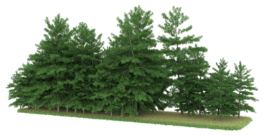 realistischer wald lokalisiert auf transparentem hintergrund. 3D-Rendering - Abbildung png