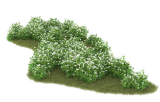 Realistic foliage isolated on transparent background. 3d rendering - illustration png