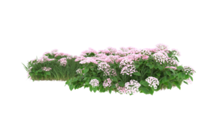 Realistic foliage isolated on transparent background. 3d rendering - illustration png