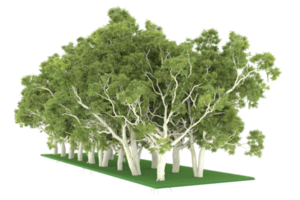 forêt réaliste isolée sur fond transparent. rendu 3d - illustration png