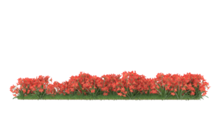 Realistic foliage isolated on transparent background. 3d rendering - illustration png