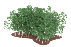 forêt réaliste isolée sur fond transparent. rendu 3d - illustration png