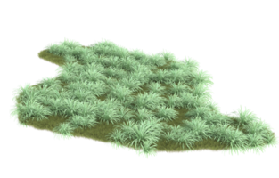 Realistic foliage isolated on transparent background. 3d rendering - illustration png