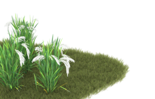 Realistic foliage isolated on transparent background. 3d rendering - illustration png