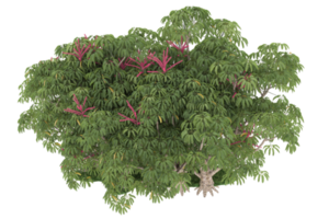 forêt réaliste isolée sur fond transparent. rendu 3d - illustration png