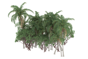 Palm trees isolated on transparent background. 3d rendering - illustration png