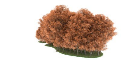 floresta realista isolada em fundo transparente. renderização 3D - ilustração png