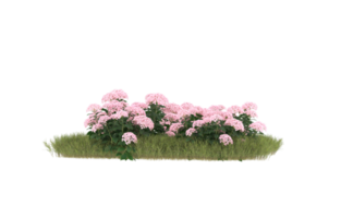 Realistic foliage isolated on transparent background. 3d rendering - illustration png