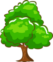 Tree png graphic clipart design