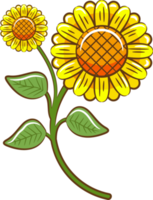 Sonnenblumen-PNG-Grafik-Clipart-Design png