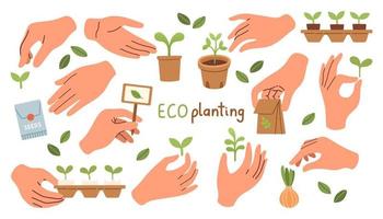 plantación ecológica. planta y brote creciendo en manos vector de diseño plano. ilustración vectorial