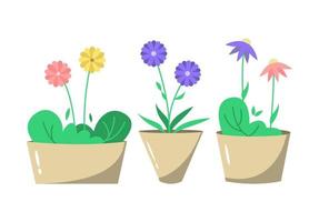 Set of cute flat flowers in pot, home decoration illustration vector