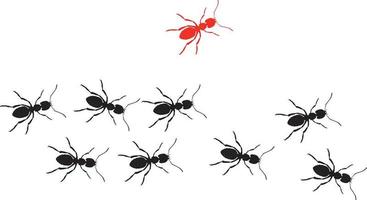 one ant going out of line.Concept of unique,different,individual vector