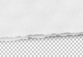 Ripped paper on transparent background vector