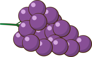 Grape png graphic clipart design