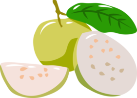 guava PNG grafisch clip art ontwerp