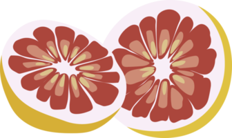 pomelo png grafisk ClipArt design