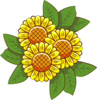 Sunflower png graphic clipart design