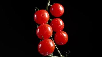 rood kers tomaten draaien Aan een zwart achtergrond. sappig groenten in water druppels. vegetarisch concept. langzaam beweging. video