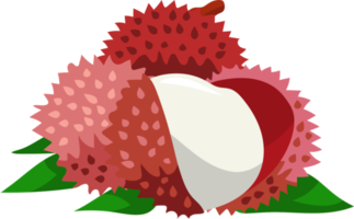 litchi png grafisk ClipArt design