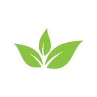 plant icon logo vector illustration design