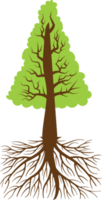 árvore png design de clipart gráfico