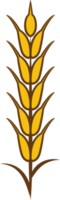 Wheat png graphic clipart design
