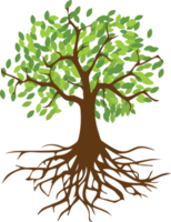 Tree png graphic clipart design