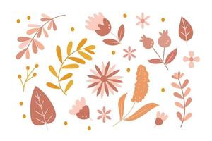 conjunto de otoño floral y hoja ilustración en mano dibujado estilo vector