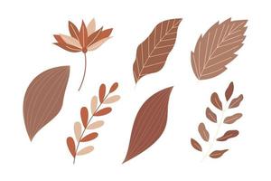 set of autumn floral and leaf for design element vector