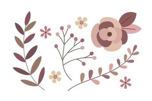 Bundle of spring floral design element vector