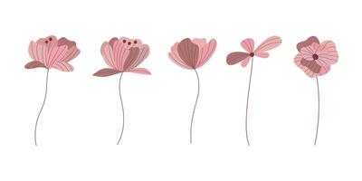 Collection of pink flower in vintage style vector