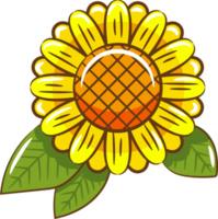 zonnebloem PNG grafisch clip art ontwerp