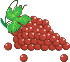 Grape png graphic clipart design