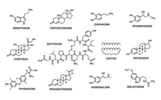 Hormones molecular formula, structure line symbols vector