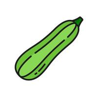 Green zucchini courgette raw veggie line icon vector