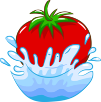 tomate png gráfico clipart diseño
