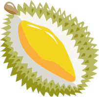 durian png graphic clipart design