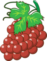 Grape png graphic clipart design