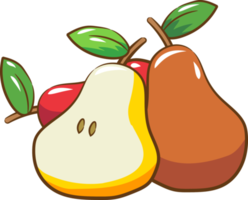 Pear png graphic clipart design