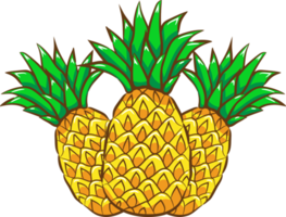 Pineapple png graphic clipart design