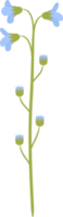 bloemen bloem elementen symbool pictogrammen kleurrijk png