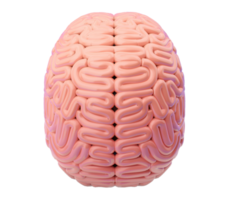 3d cervello illustrazione png