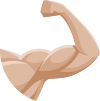 brazo músculo símbolo png