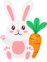 easter bunny rabbit and eggs png