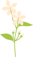 bloemen bloem elementen symbool pictogrammen kleurrijk png