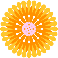 floral fleur éléments symbole icônes coloré png